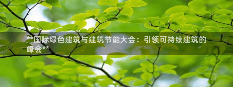 尊亿游戏国际官网：**国际绿色建筑与建筑节能大会：引领可持续建筑的
峰会**